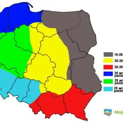 Mapa Polski z terminem siewu pszenicy ozimej. Różne kolory oznaczają optymalne daty od 15 września do 15 października.