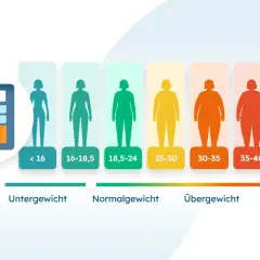 BMI-Rechner zeigt verschiedene Körpertypen von Untergewicht bis Adipositas. So ermitteln Sie, wieviel Kalorien Sie zu sich nehmen dürfen.