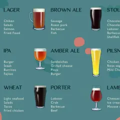 Ciemne piwo nazwa: Stout, Porter, Lambic. Ilustracja przedstawia różne rodzaje piw i ich propozycje kulinarne.