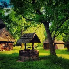 Skanseny Podlasie: Odkryj fascynujące muzea na świeżym powietrzu