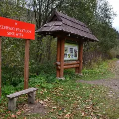 Tablica informacyjna w rezerwacie przyrody Sine Wiry. Drewniana wiata z mapą szlaków i ławka zapraszają do odpoczynku przed leśną wędrówką.