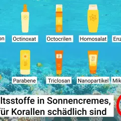 Schädliche Sonnencreme Inhaltsstoffe wie Oxybenzon, Octinoxat und Nanopartikel bedrohen Korallenriffe. Informiere dich über Alternativen.