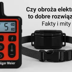 Pilot i obroża do szkolenia psów na neutralnym tle.