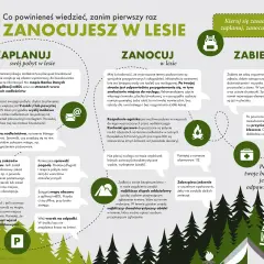 Planujesz nocleg w lesie? Co zabrać pod namiot? Zaplanuj, zanocuj, zabierz. Sprawdź mapy, pogodę, zabezpiecz jedzenie. Pamiętaj o worku na śmieci i bezpieczeństwie.
