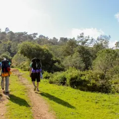 Zwei Wanderer mit Rucksäcken auf einem Feldweg, bereit für einen dreitägigen rundwanderweg durch eine grüne, hügelige Landschaft.
