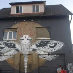 Großes Insekt-Graffiti an Hauswand in Heilbronn. Emma 23 Bar im Hintergrund.