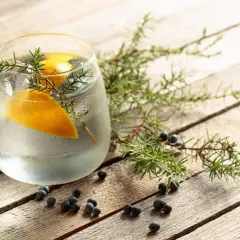 Erfrischendes Getränk mit Zitrone und Wacholder. Auch in der Schwangerschaft eine gute Wahl: Tonic Water.