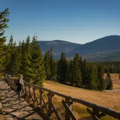 Kamienna ścieżka w górach, otoczona lasem świerkowym, prowadzi do malowniczych widoków. W oddali widać pasma górskie, charakterystyczne dla Karpacza i okolic.