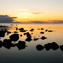 Solnedgång över havet med stenar i förgrunden. Perfekt för gotland tips.