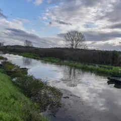 Canale con barche ormeggiate vicino a Ponte Buggianese, riflessi nel cielo nuvoloso.