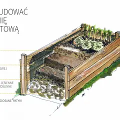 Warzywniak w skrzyniach, z warstwami od drenażowej po ziemię do upraw, z widocznymi marchewkami i sałatą.
