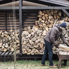 Mann lagert Holz im Freien. Ein Mann mit Bart und Mütze legt Holzscheite in eine Schubkarre, daneben ein großer Stapel Brennholz.