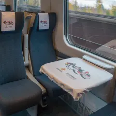 Sitze in einem ece train mit Kopfstützen und einem Tisch, der mit einem Tuch mit Zugmotiven bedeckt ist.