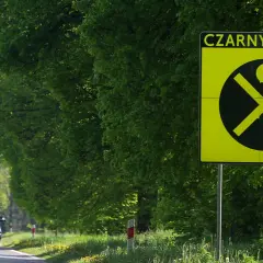 Żółty znak "Czarny punkt" ostrzega kierowców. Samochody jadą drogą otoczoną zielenią.