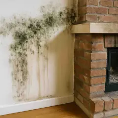 Schimmel an der Wand neben dem Kamin, ein Zeichen für Kondenswasser im Kamin vermeiden.
