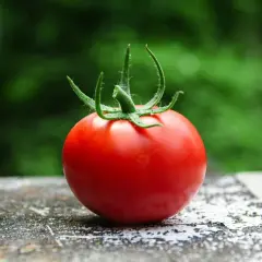 Soczysty pomidor malinowy, idealny do sałatek. Niskie kcal, wysoka zawartość witamin.