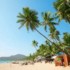 Solig strand med vajande palmer och små stugor i Goa, Indien. En perfekt plats för avkoppling.
