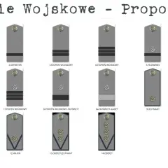 Zlikwidowane stopnie wojskowe: od szeregowego do obersta, z oznaczeniami i nazwami.