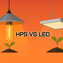 Lampa do uprawy: LED vs HPS 2026. Jak wybrać i oszczędzać?