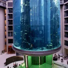 AquaDom Berlin : Pourquoi le géant aquarium s'est-il effondré ?