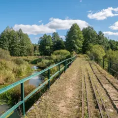 Most starych torów kolejowych przez bagna w Białowieskim Parku Narodowym.