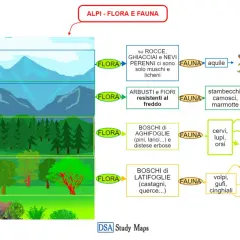 Flora e Fauna Montagna: Guida Completa | Alpi e Appennini