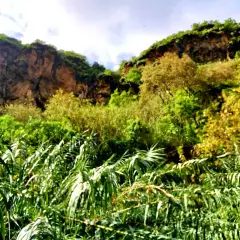 Verde exuberante y rocas escarpadas en el barranco de Azuaje, con un cielo azul y nubes.