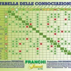 Tabella consociazioni ortaggi con faccine sorridenti (favorevole) e tristi (sfavorevole).