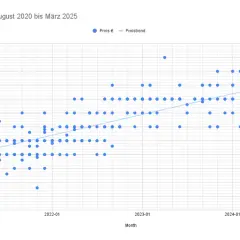 Duży Kebab w 2025: Ile Kosztuje i Co Wpływa na Cenę?