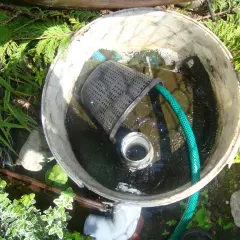 Domowy filtr z beczki projekt: siatka z wężem w wiadrze z wodą i osadem, otoczony zielenią.