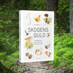 En bok om att plocka svamp, "Skogens Guld", visar olika matsvampar som kantareller. Perfekt för dig som vill lära dig mer om svamp.