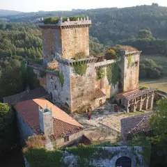 El **castillo de Pambre**, una fortaleza de piedra antigua, se alza entre bosques frondosos. Sus muros cubiertos de hiedra y tejados rojizos evocan historias de antaño.