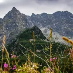 Polskie góry latem: Które pasmo wybrać? Kompletny przewodnik