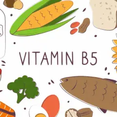 Wichtige Informationen über Vitamin B5: Funktionen, Quellen und Vorteile