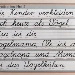 Übungstext in verbundener Grundschrift: Kinder verkleiden sich als Vögel. Lisa ist Vogelmama, Ole Vogelpapa, Mimi Vogelküken.