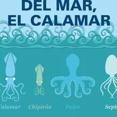 El calamar: recetas irresistibles y secretos de preparación