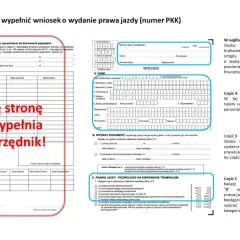 Jak wypełnić wniosek o profil kierowcy i uniknąć błędów