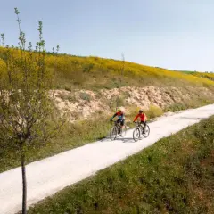 Najpiękniejsze trasy rowerowe w Polsce, które zachwycą każdego cyklistę