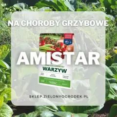 Amistar oprysk na choroby grzybowe warzyw. Zdjęcie przedstawia zdrowy ogród z warzywami i opakowanie preparatu.