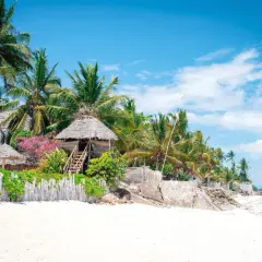 Plaża na Zanzibarze z palmami, chatkami z trawy i drewnianym płotem. Idealne miejsce na wakacje.