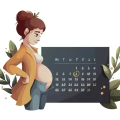Donna incinta guarda un calendario, con l'8 cerchiato, forse la data concepimento.