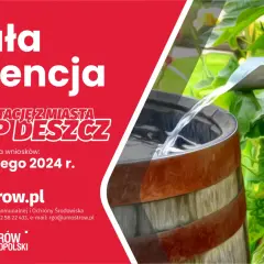 Deszczówka: legalnie, skutecznie, z dotacją. Poradnik DIY