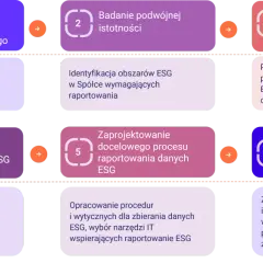 Schemat przedstawia 6 kroków zarządzania projektem ESG: od szkoleń i analizy luk po raportowanie zgodne z ESRS. Dowiedz się, esg co to jest i jak je wdrożyć.
