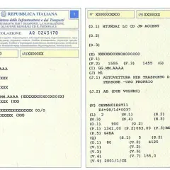 Pagina di un libretto auto con dati di lettura. Informazioni sul veicolo, marca e modello.