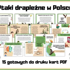 Ptaki drapieżne w Polsce: orzeł bielik, sokół wędrowny, myszołów. Poznaj ich cechy, siedliska, zagrożenia i rolę w ekosystemie.