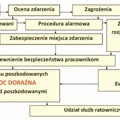 Schemat postępowania w sytuacji kryzysowej: od zdarzenia, przez ocenę, alarm, zabezpieczenie, pomoc poszkodowanym, ewakuację, aż po udział służb ratowniczych.