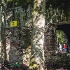 Ruiny Wilczego Szańca porośnięte mchem i drzewami. Dwie osoby wchodzą do ciemnego tunelu.