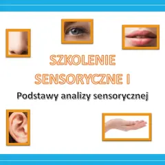 Skuteczne szkolenia sensoryczne dla dzieci i analizy sensorycznej