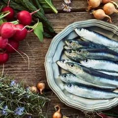 Sardine fresche su piatto d'argento, contornate da ravanelli, rosmarino e cipolline. Un pasto che ricorda una tabella alimenti ricchi di calcio e vitamina D.