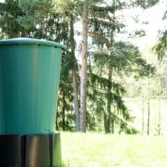 Zielona beczka zbiera wodę opadową z rynny. W tle las i zielona trawa.